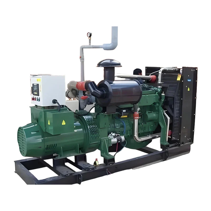 Gerador de biogás de 1000kW